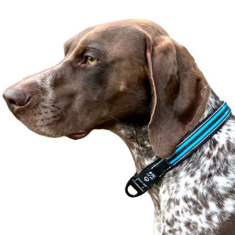 LED Dog Collar Necklace – Rechargeable Light-Up Safety Dog Collar for Night Visibility