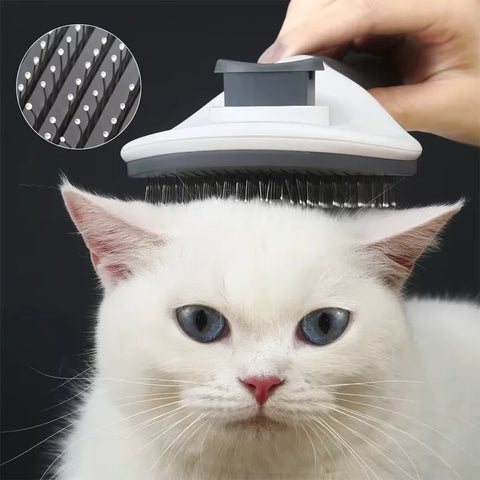 Pet Brush & Comb