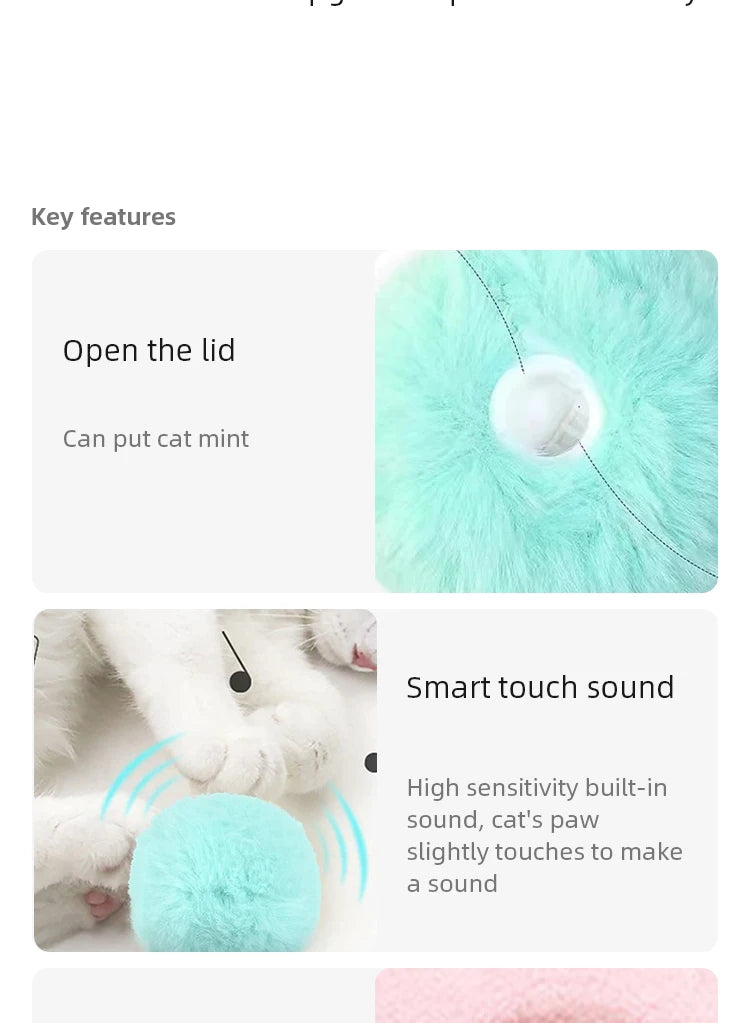 Smart Cat Toy Electric Catnip Training Toy For Kitten